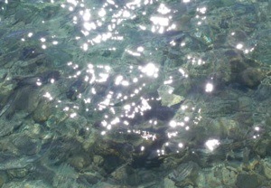 Wasser